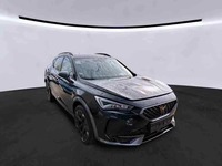 Szczegółowe zdjęcie