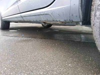 Szczegółowe zdjęcie