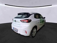 Szczegółowe zdjęcie