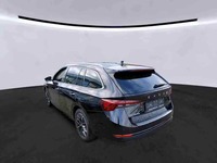 Szczegółowe zdjęcie