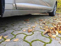 Szczegółowe zdjęcie