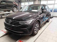 Szczegółowe zdjęcie