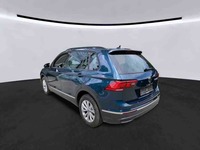 Szczegółowe zdjęcie