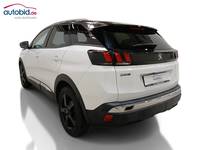 Ansicht hinten links