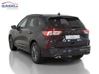 Vaade tagant vasakult