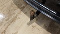 View of trailer tow-bar hitch