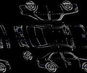 Podrobna fotografija