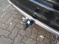 View of trailer tow-bar hitch