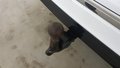 View of trailer tow-bar hitch