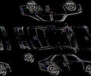 Podrobna fotografija