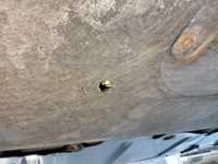 Edasised fotod kerest