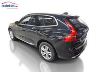 Vaade tagant vasakult