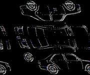 Podrobna fotografija