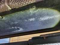 Weitere Bilder Karosserie