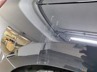 Parempoolne külg tagant