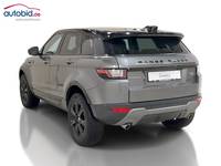 Vaade tagant vasakult