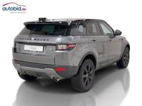 Vaade tagant paremalt