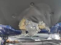 Edasised fotod kerest