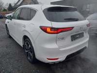 Vaade tagant vasakult