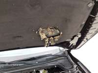 Fotografija s detaljima