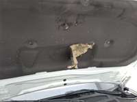 Fotografija s detaljima