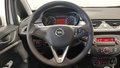View of steering wheel