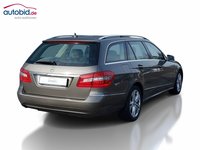 Vista traseira direita