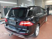 Pogled od pozadi desno