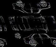 Podrobna fotografija