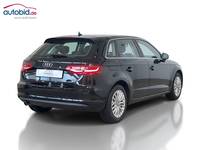 Vista posteriore destra