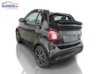 Vedere spate stânga