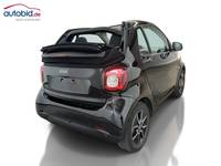 Vedere spate dreapta