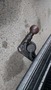 View of trailer tow-bar hitch