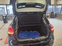 Szczegółowe zdjęcie