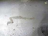 Другие фотографии кузова