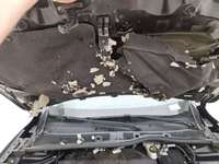 Детальное фото