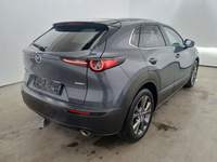 Vaade tagant paremalt