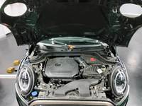 Szczegółowe zdjęcie