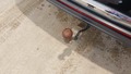 View of trailer tow-bar hitch