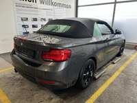 Podrobna fotografija