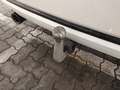 View of trailer tow-bar hitch