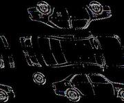 Podrobna fotografija