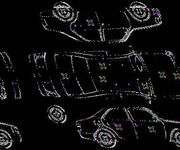 Podrobna fotografija