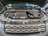 Szczegółowe zdjęcie