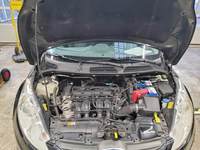 Podrobna fotografija