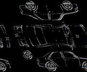 Podrobna fotografija