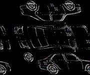 Podrobna fotografija