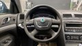 View of steering wheel