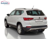 Вид сзади слева