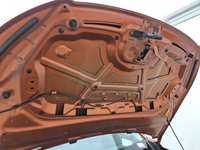 Podrobna fotografija